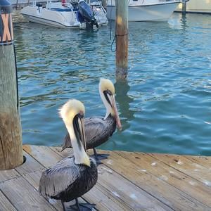 Meet your Posher, Kathleen